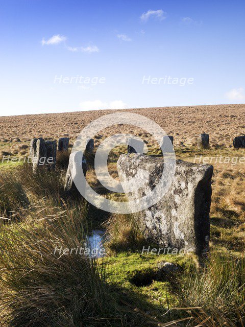 One of the two stone circles of Grey Wethers, Dartmoor, Devon, c1980-c2017. Artist: Historic England Staff Photographer.