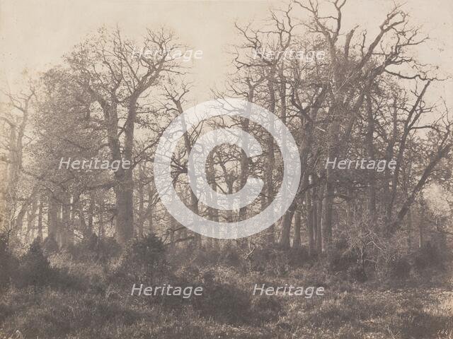 Carrefour de l'Epine, early 1860s. Creator: Eugène Cuvelier.