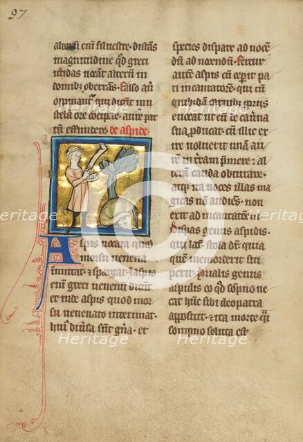 An Asp; De Natura Avium; De Pastoribus et Ovibus, 1277 or after. Creator: Unknown.