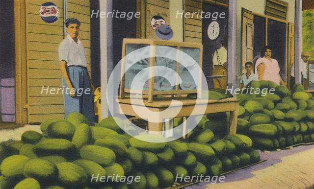 'Watermelons For Sale, Trinidad, B.W.I.', c1940s. Creator: Unknown.