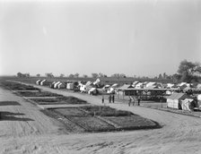 View of Kern County migrant camp showing community garden plots, California, 1936. Creator: Dorothea Lange.