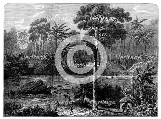 Ashantee Sketches: the River Prah and the Forest of Assin, 1873. Creator: Unknown.