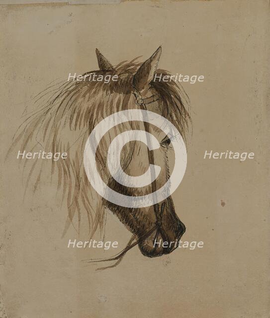 Head of a Horse, mid 19th century. Creator: Alfred Jacob Miller.
