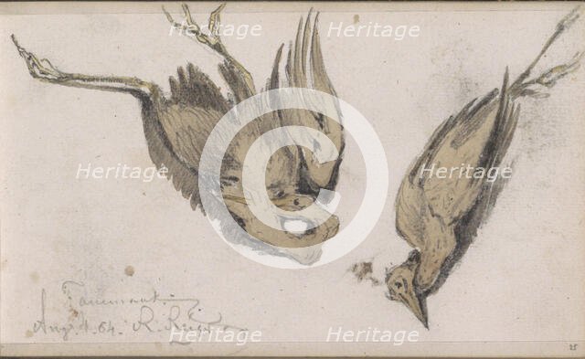 Dead Heron, 1864. Creator: Johannes Tavenraat.