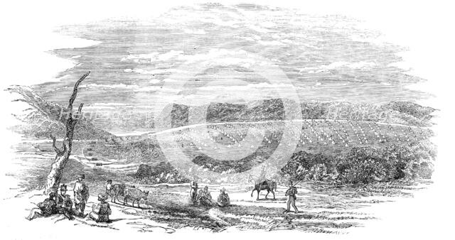 Camp of the English Light Division, at Varna, 1854. Creator: Unknown.