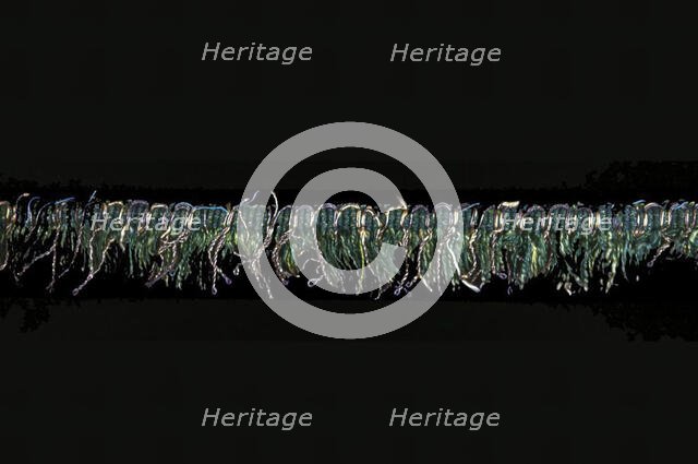 Renaissance Fringe, Italy, 16th century. Creator: Unknown.