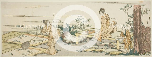 Goldfish farm, Japan, n.d. Creator: Hokusai.