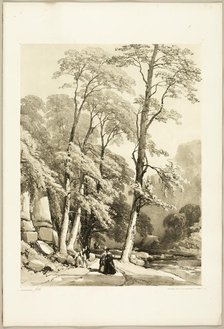 Sycamore, from The Park and the Forest, 1841. Creator: James Duffield Harding.