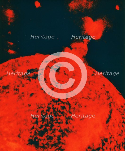 Solar eruption. Artist: Unknown