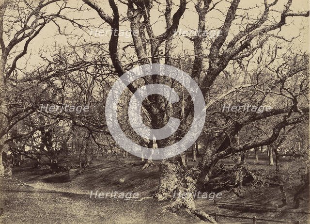 Pepperharrow Park, Surrey, 1852-54. Creator: Benjamin Brecknell Turner.