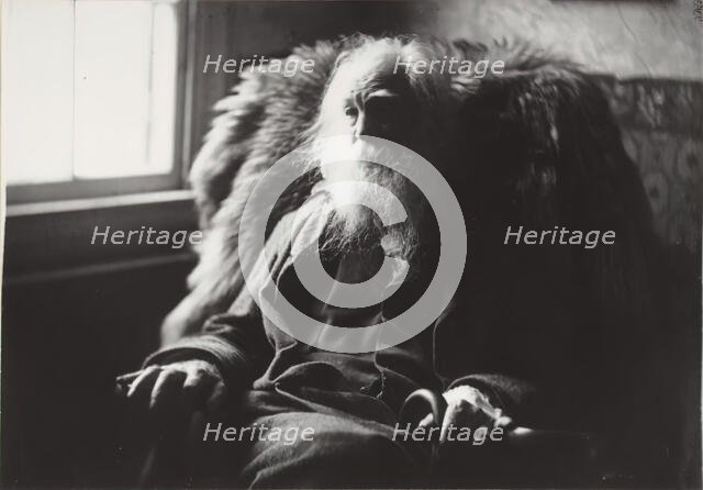 Walt Whitman in Camden, N.J., c. 1891. Creator: Thomas Eakins.