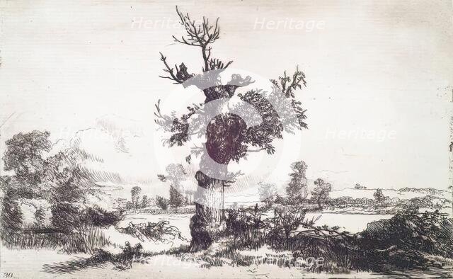 Halliford on Thames: Stump of a Tree in Centre, c1826. Creator: Andrew Geddes.