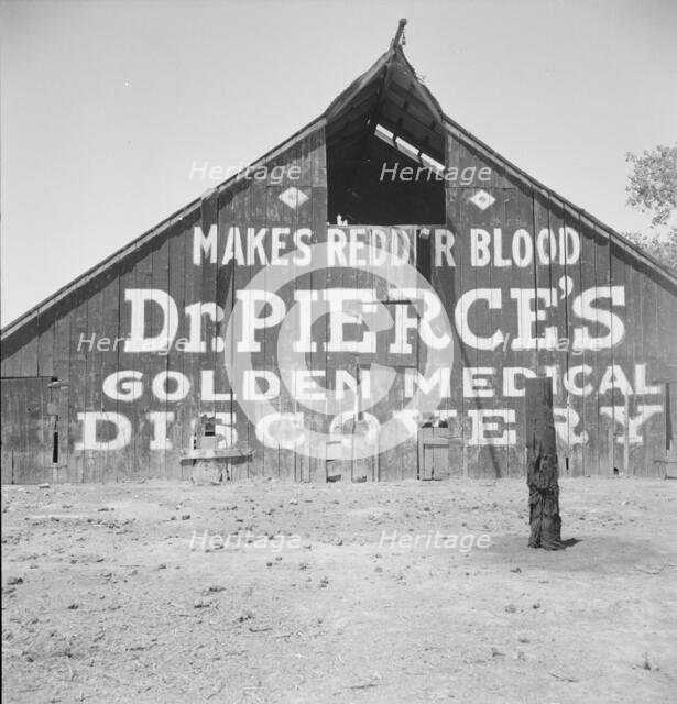 Dairy barn, between Tulare and Fresno, California, 1939. Creator: Dorothea Lange.