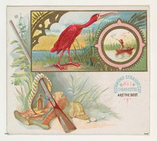 Scarlet Ibis, from the Game Birds series (N40) for Allen & Ginter Cigarettes, 1888-90. Creator: Allen & Ginter.