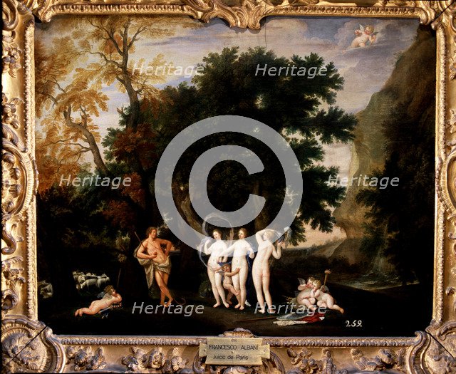 Judgement of Paris, the shepherd Paris has to give the golden apple to the most beautiful of the …