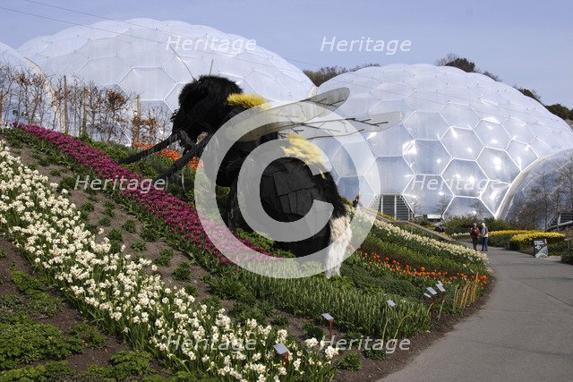 Giant bumble bee sculpture, Eden Project, near St Austell, Cornwall. 