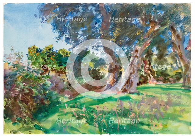 Olive Trees, Corfu, 1909. Creator: John Singer Sargent.