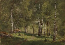 Birch Grove, 1865. Creator: Hjalmar Munsterhjelm.