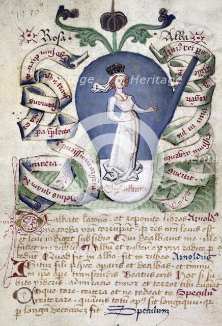 The stage of the white elixir, a queen or Rosa alba (the white rose),15th century. Creator: Unknown.