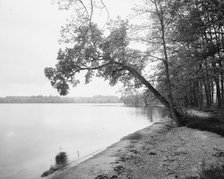 View on Long Point, Lake Chautauqua, c1898. Creator: Unknown.