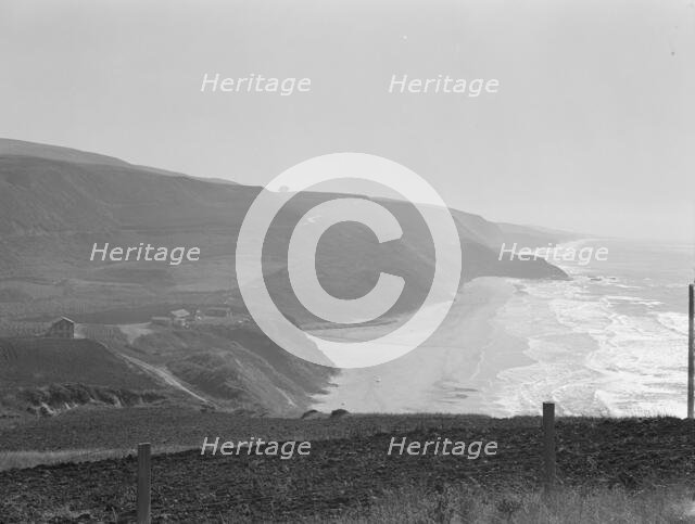 Near Half Moon Bay, California coast, 1938. Creator: Dorothea Lange.