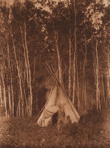 A Chipewyan Tipi among the Aspens, 1926. Creator: Edward Sheriff Curtis.