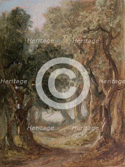 Grove [undated]. Creator: Lines Family.