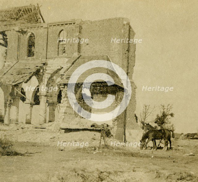 Horses grazing near ruined church, Frise, northern France, c1914-c1918. Artist: Unknown.