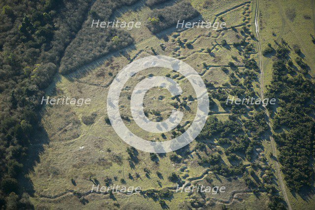 World War I practice trenches, Beacon Hill, near Bulford, Salisbury Plain, Wiltshire, 2007. Artist: Historic England Staff Photographer.