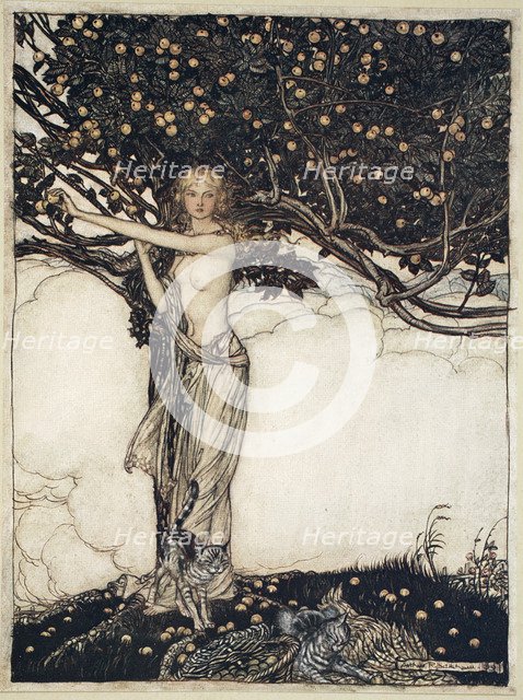'Freia, the fair one', 1910. Artist: Arthur Rackham