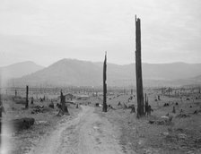 Landscape: stumps, sags, and stump farm in Priest River Valley, Bonner County, Idaho, 1939. Creator: Dorothea Lange.