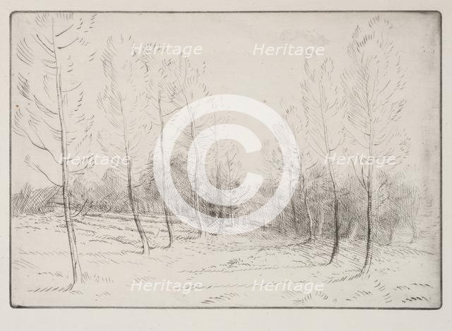 Avenue of Poplars. Creator: Alphonse Legros (French, 1837-1911).