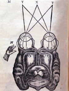 Schematic drawing on the functioning of the brain and human ocular system, engraving published in…