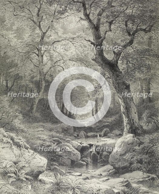 Forest Scene, second half 19th century. Creator: Paul Weber.