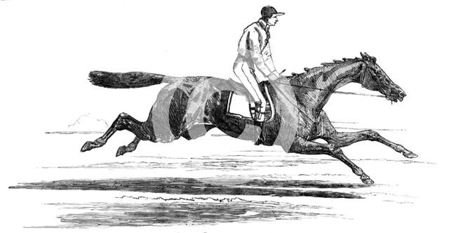 Epsom Races - "Ellington", Winner of the Derby, 1856.  Creator: Unknown.