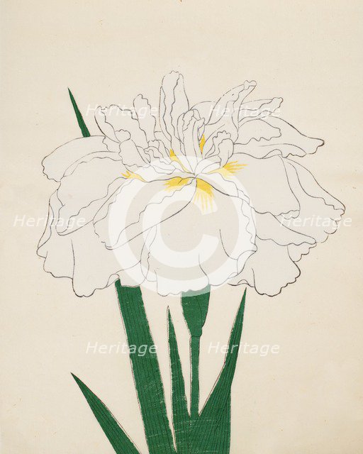 Ujaku-No-Nagisa, No. 61, 1890, (colour woodblock print)