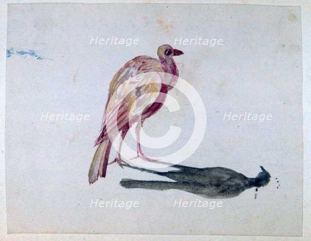'Bird', 1820-1876. Artist: George Sand