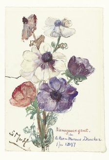 New Year greeting with anemones, 1896-1897. Creator: Sina Mesdag van Houten.