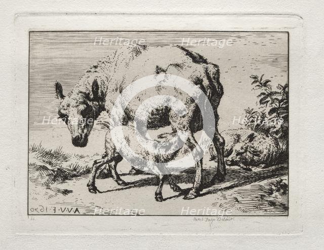 The Ewe with Two Lambs, 1850. Creator: Charles Meryon (French, 1821-1868).