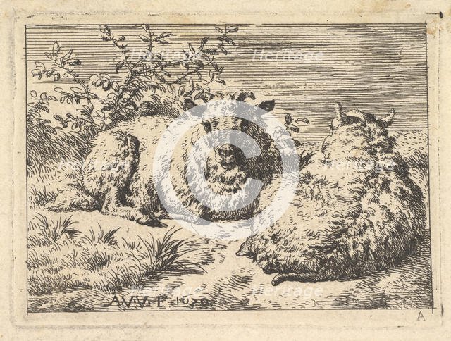 Two Recumbent Sheep, 1670. Creator: Adriaen van de Velde.