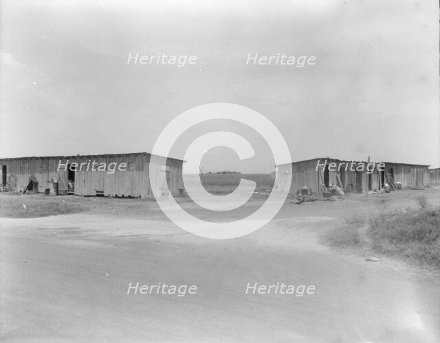 Cotton pickers camp near Robstown, Texas, 1936. Creator: Dorothea Lange.