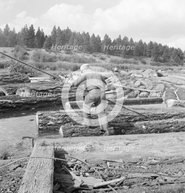 Pond monkey steers log raft in mill pond, Keno, Klamath County, Oregon, 1939. Creator: Dorothea Lange.