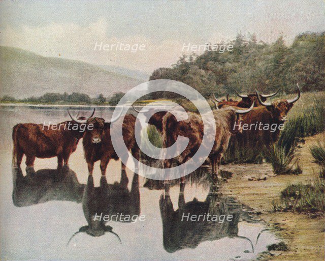 'Scotland', c1930s. Artist: C Reid.