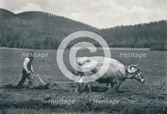 'The Ploughman', c1903. Artist: Vernon Royle.