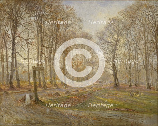 Late Autumn Day in the Jægersborg Deer Park, North of Copenhagen, 1886. Artist: Philipsen, Theodor (1840-1920)