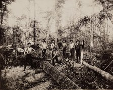 Lumbering Days in Ludington, Michigan, 1890. Creator: H. J. Hansen.