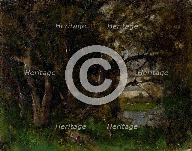 Early Evening Motif in a Park in Strázky, 1895-1900. Creator: Ladislav Mednyanszky.