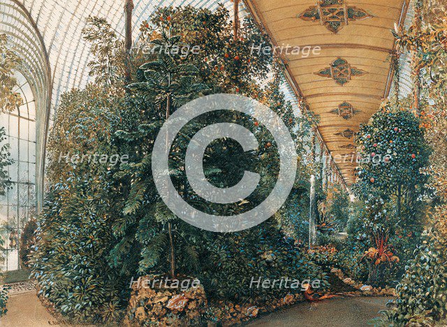 Interior of the Palm House of Lednice Palace. Artist: Alt, Rudolf von (1812-1905)