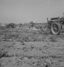 Aldridge Plantation, Mississippi, 1937. Creator: Dorothea Lange.