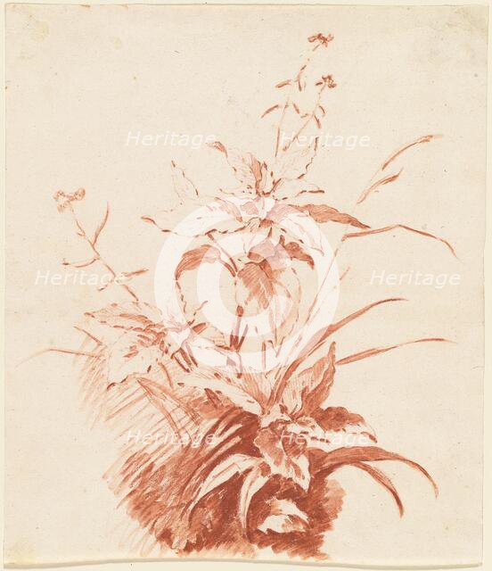 Flowering Plant with Grass, mid 1760s. Creator: Jean Baptiste Marie Huet.